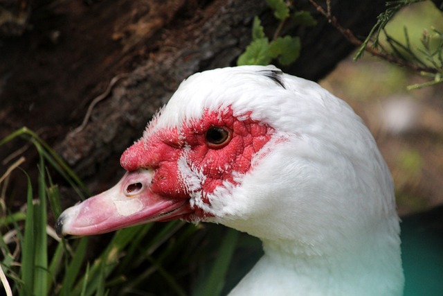 我们需要明 我们需要明